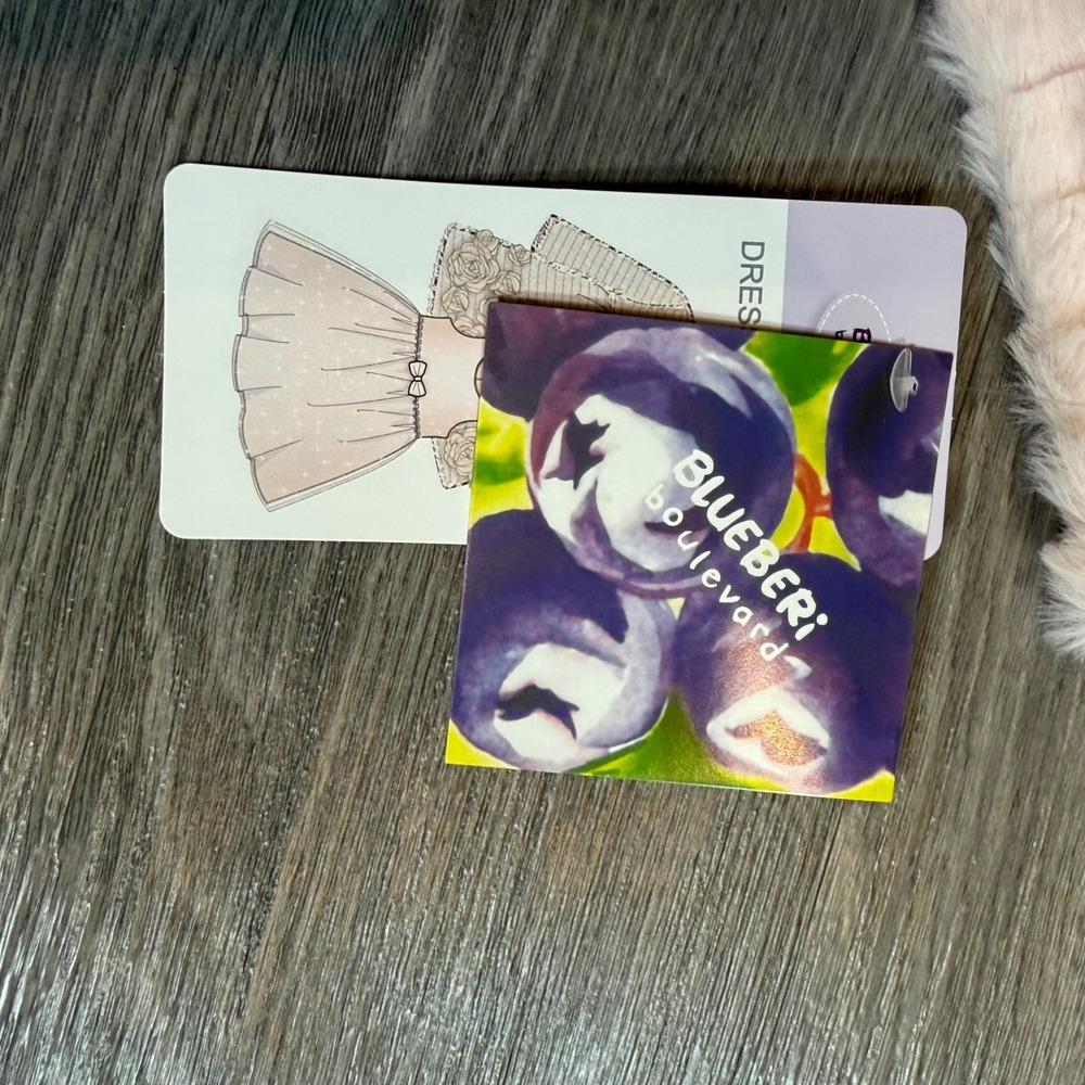 Blueberry Boulevard Baby Girl 24M Pink Rose fur Coat & Dress valentines Easter - Picture 6 of 9